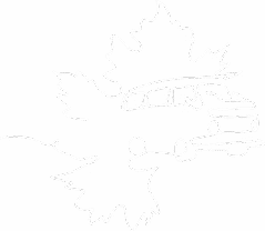 Silhouette blanche d'un van retro sur une feuille d'arbre stylisée. Symbole de voyage et d'évasion nature.