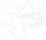 Dessin au trait blanc d'un van aménagé rétro à l'intérieur d'une feuille d'érable stylisée sur fond gris sombre. Symbole de voyage nature.