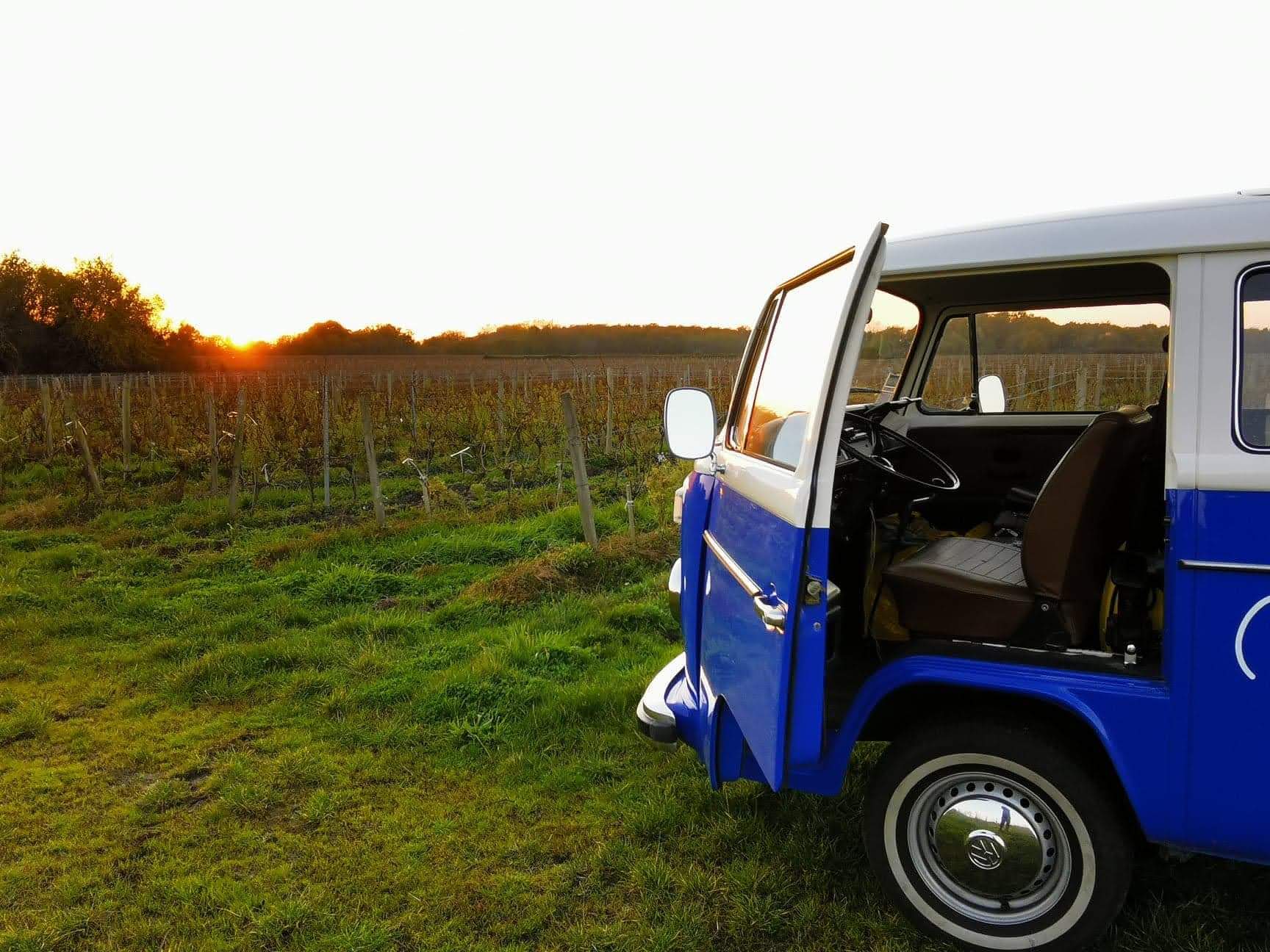 Van Combi VW bleu et blanc porte ouverte, au coucher du soleil dans un vignoble verdoyant. Ambiance de détente et road trip.